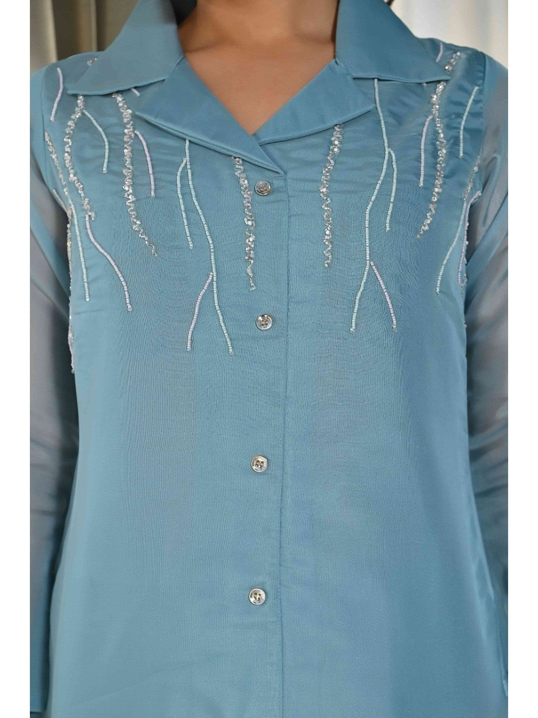 Light Blue Beads Work Embroidered Organza Co-Ord Set - Image 5