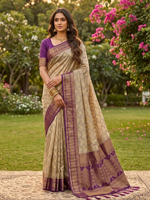 Graceful Chikoo Cotton Silk Saree With Intricate Geometric Zari Weaving & Contrast Wine Border Pallu - Image 1