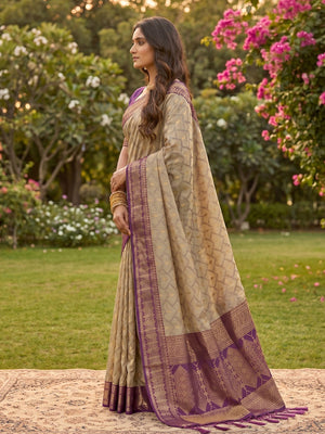 Graceful Chikoo Cotton Silk Saree With Intricate Geometric Zari Weaving & Contrast Wine Border Pallu - Image 2