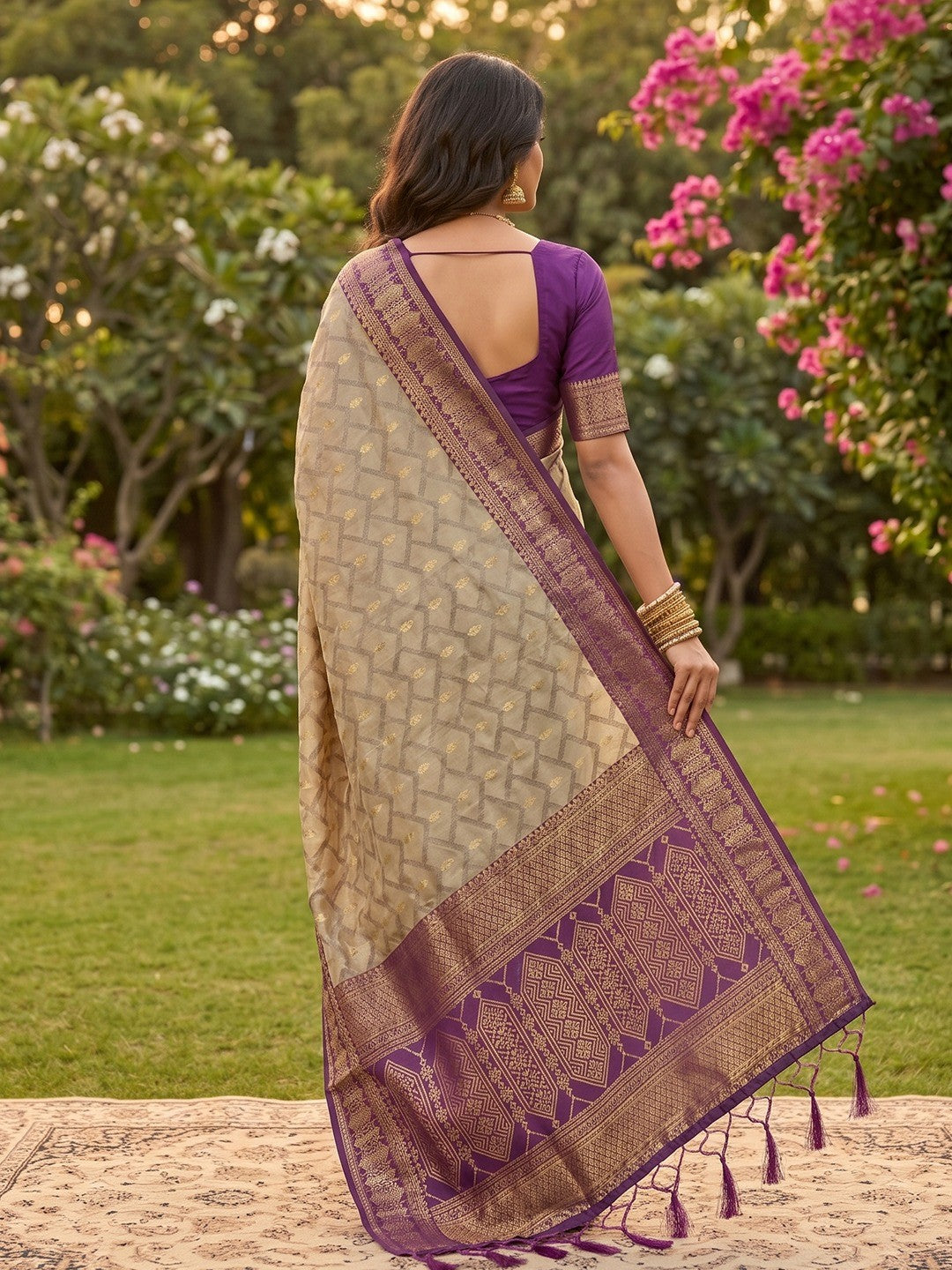 Graceful Chikoo Cotton Silk Saree With Intricate Geometric Zari Weaving & Contrast Wine Border Pallu - Image 3