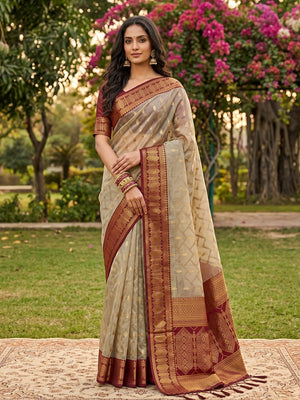 Graceful Chikoo Cotton Silk Saree With Intricate Geometric Zari Weaving & Contrast Maroon Border Pallu - Image 1