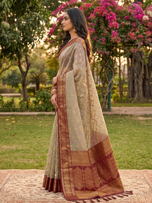 Graceful Chikoo Cotton Silk Saree With Intricate Geometric Zari Weaving & Contrast Maroon Border Pallu - Image 2