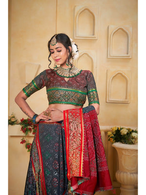 Designer Grey Banarasi Silk Saree With Intricate Patola Zari Weaving & Fancy Border - Image 2