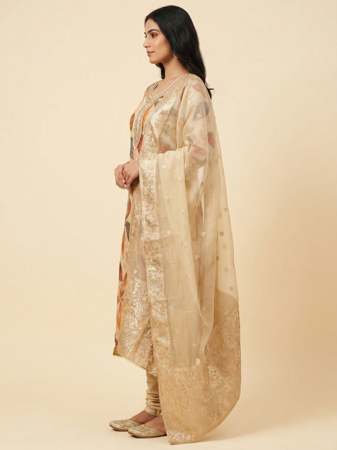 Chikoo Digital Printed With Handwork Organza Dress Material - Image 3