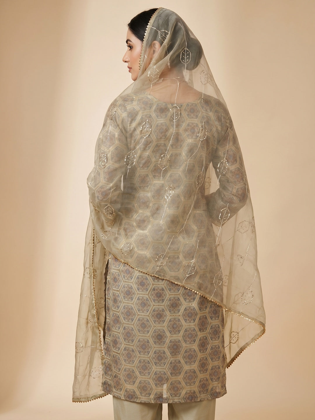 Beige Printed Organza Dress Material - Image 3