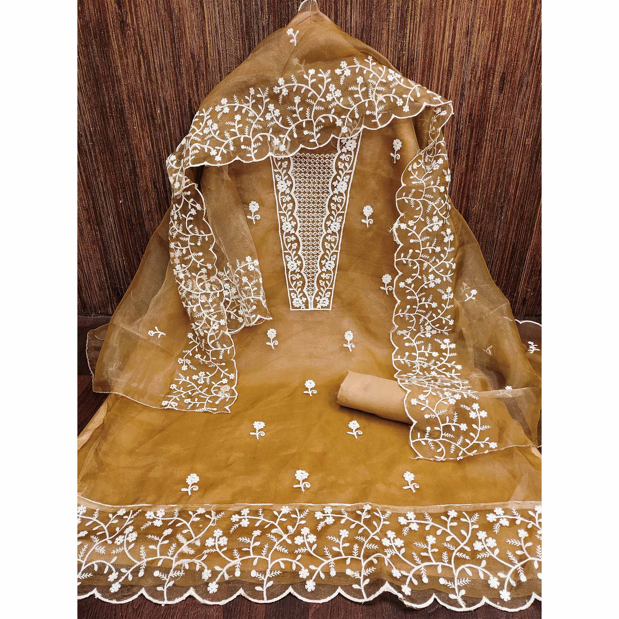 Chikoo Floral Embroidered Organza Dress Material