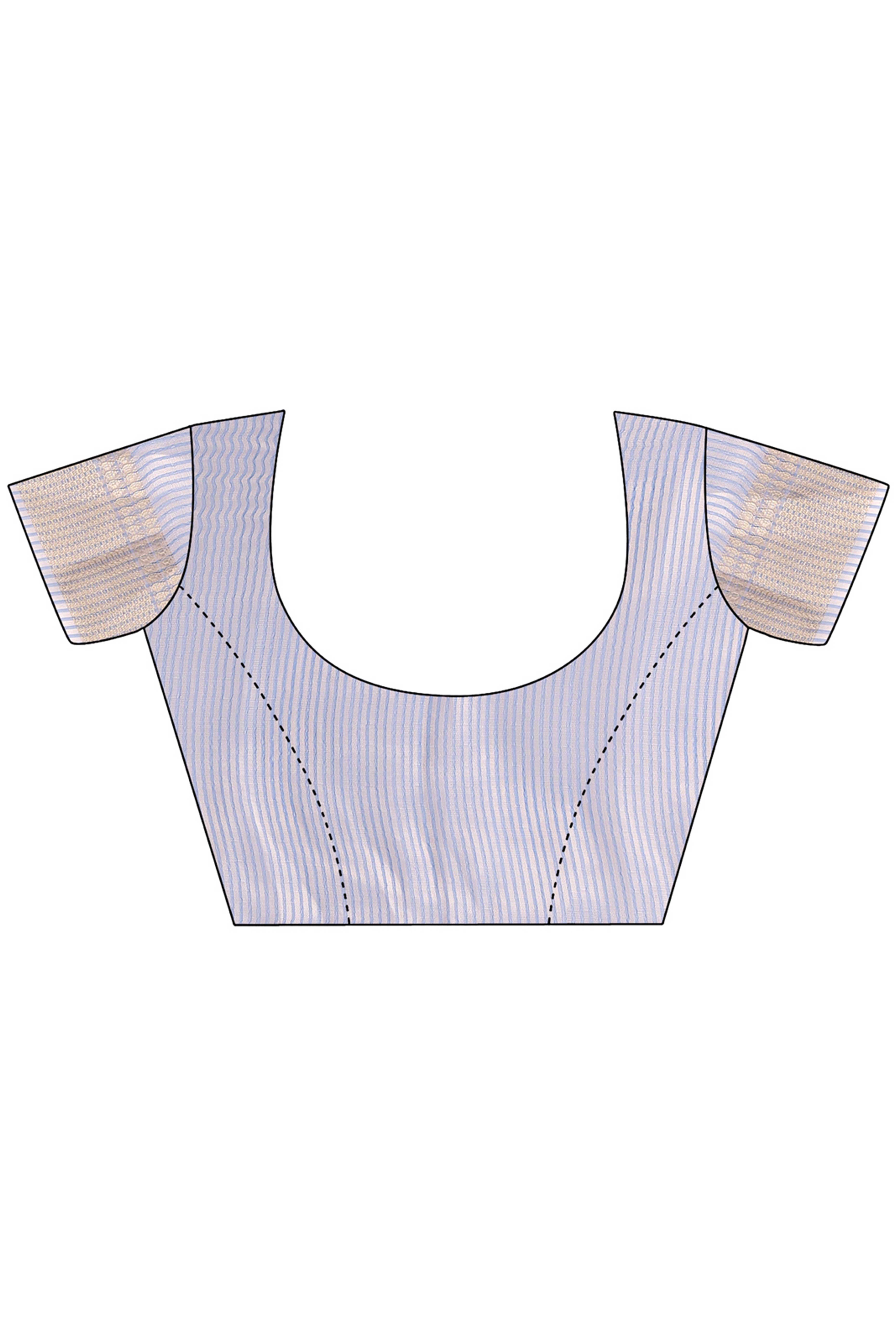 Soft Sky Blue Organza Saree with Detailed Zari Woven Edging