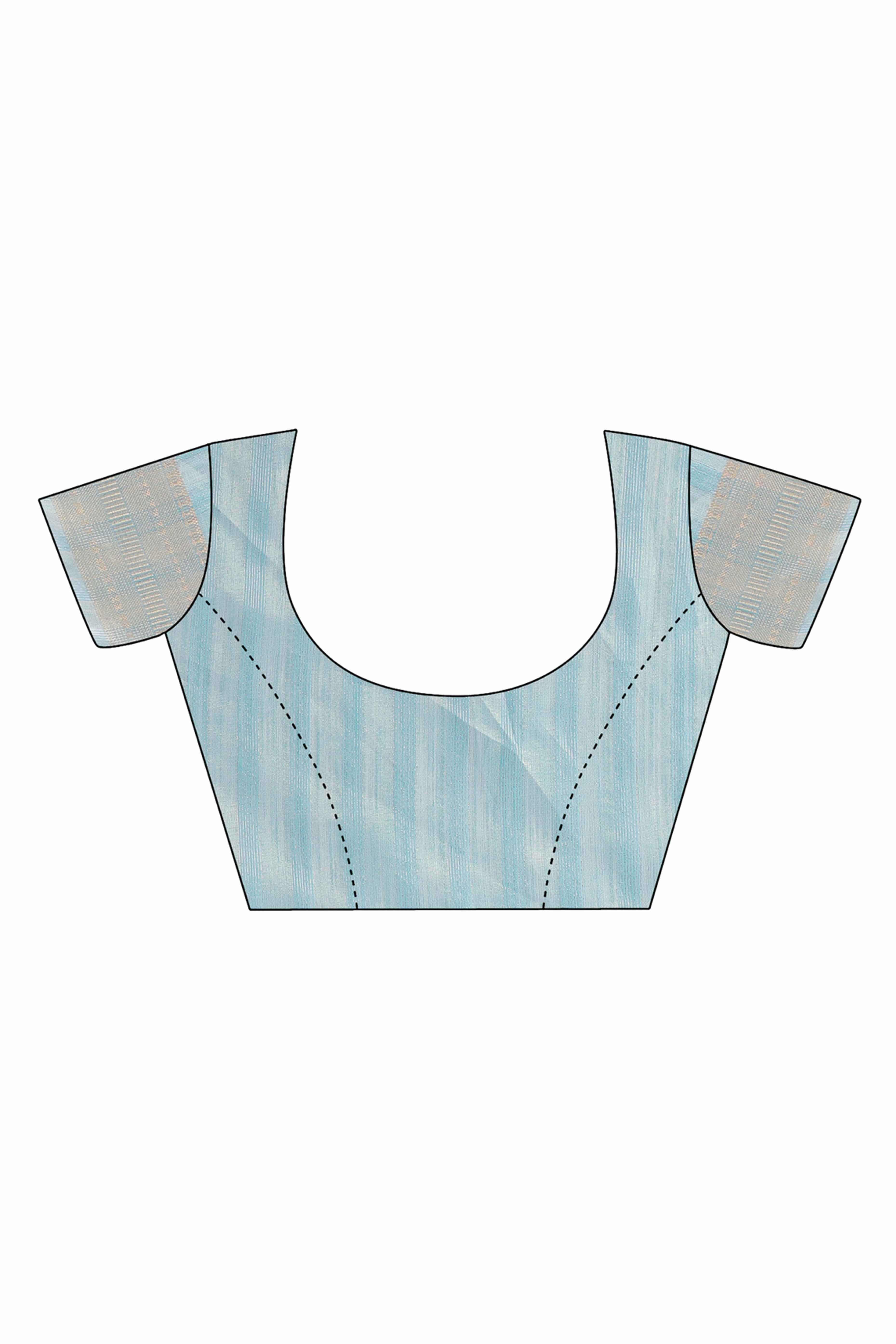 Sky Blue Organza Saree With Intricate Weave & Elegant Tassel Accents