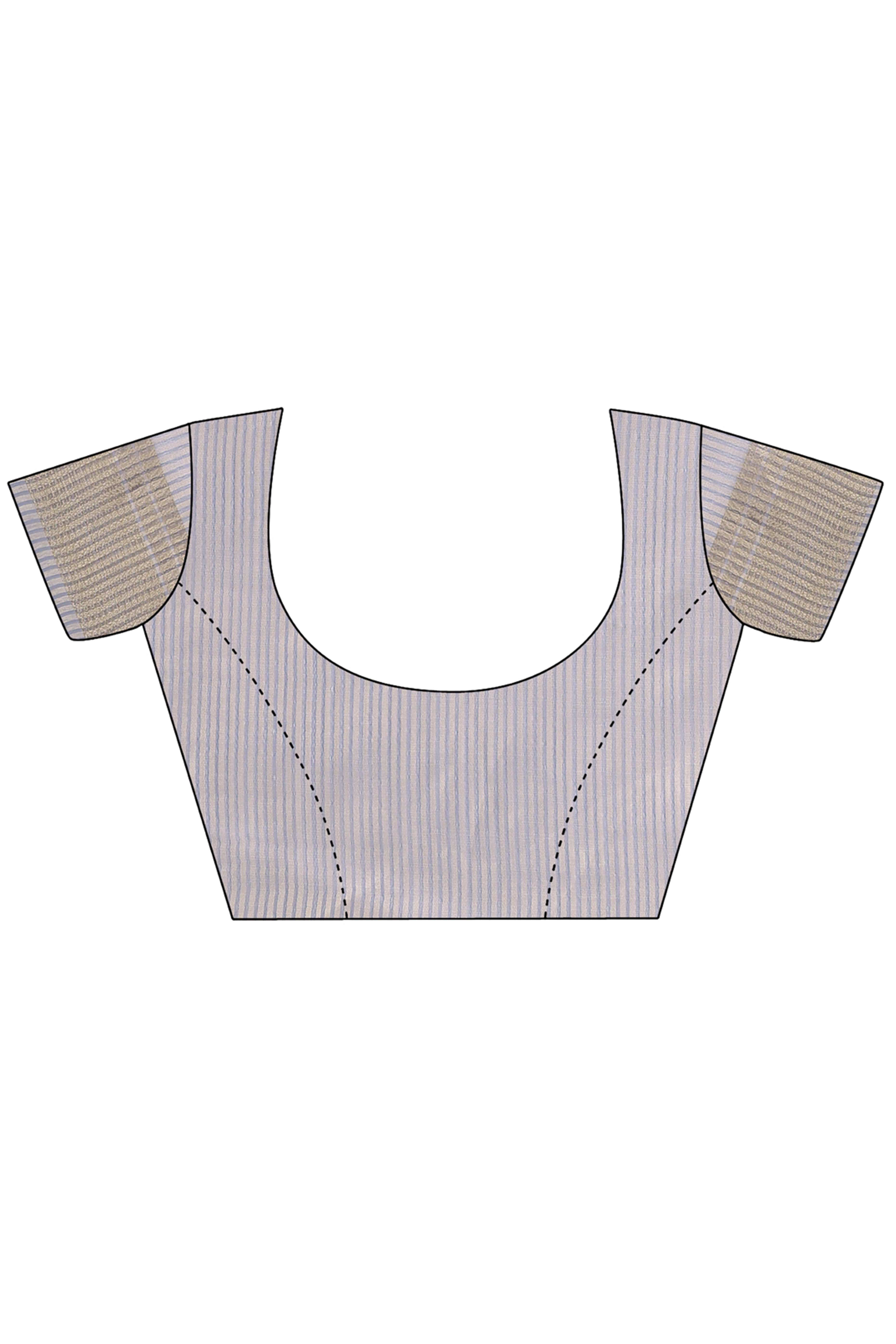 Soft Grey Organza Saree with Detailed Zari Woven Edging