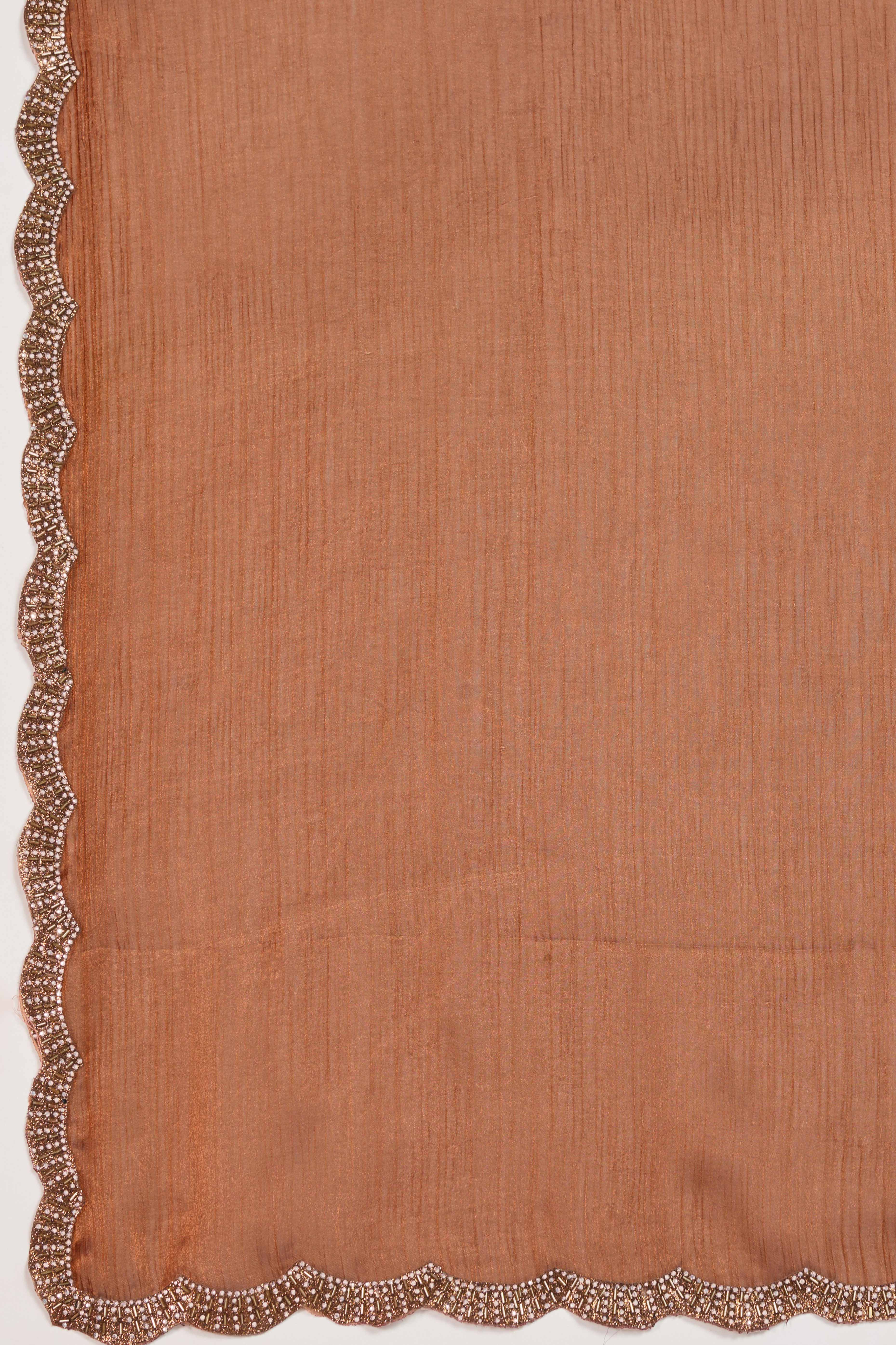 Rust Burberry Chiffon Saree Embellished With Zarkan & Cutdana Appliqué Lace Border