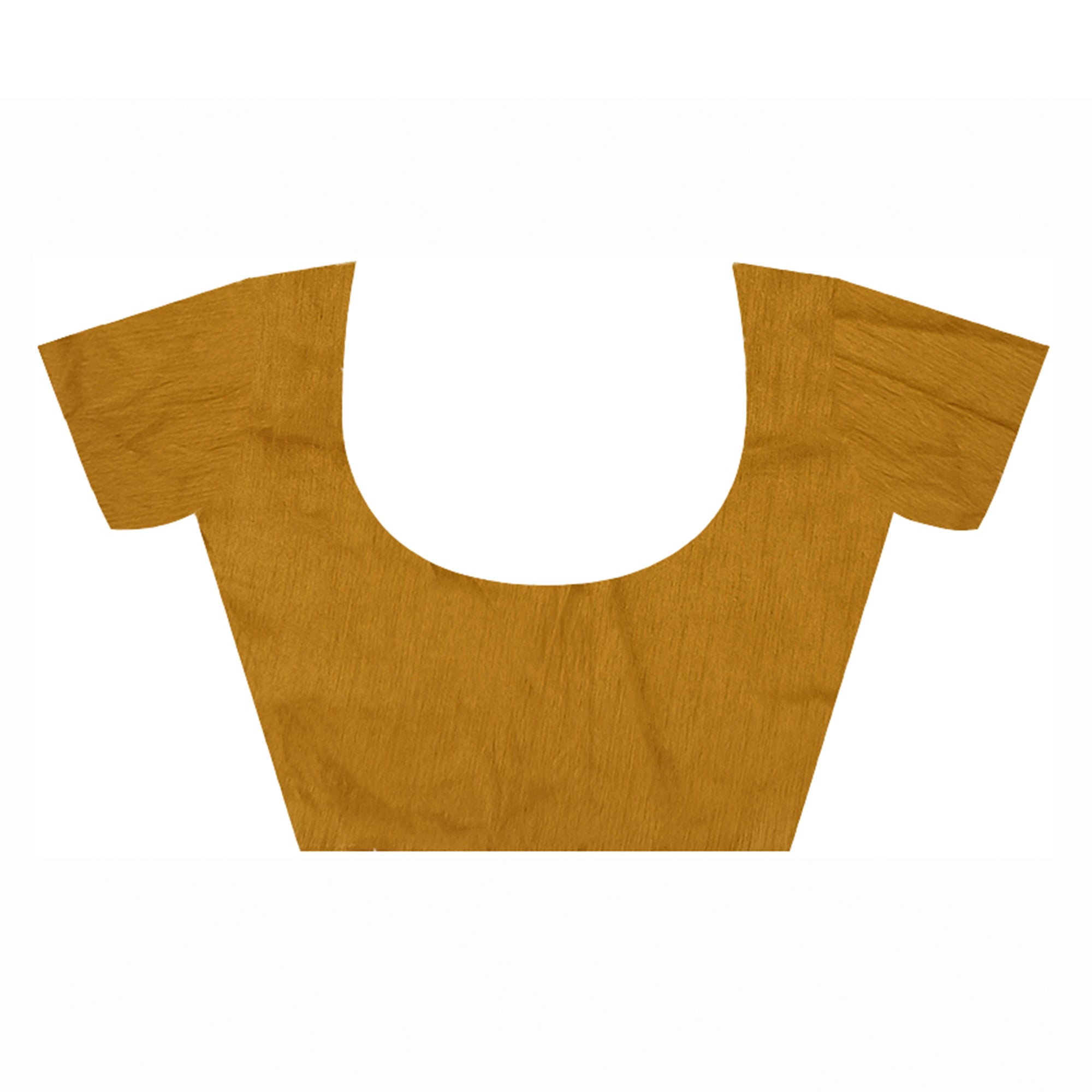 Mustard Sequins Embroidered Georgette Saree