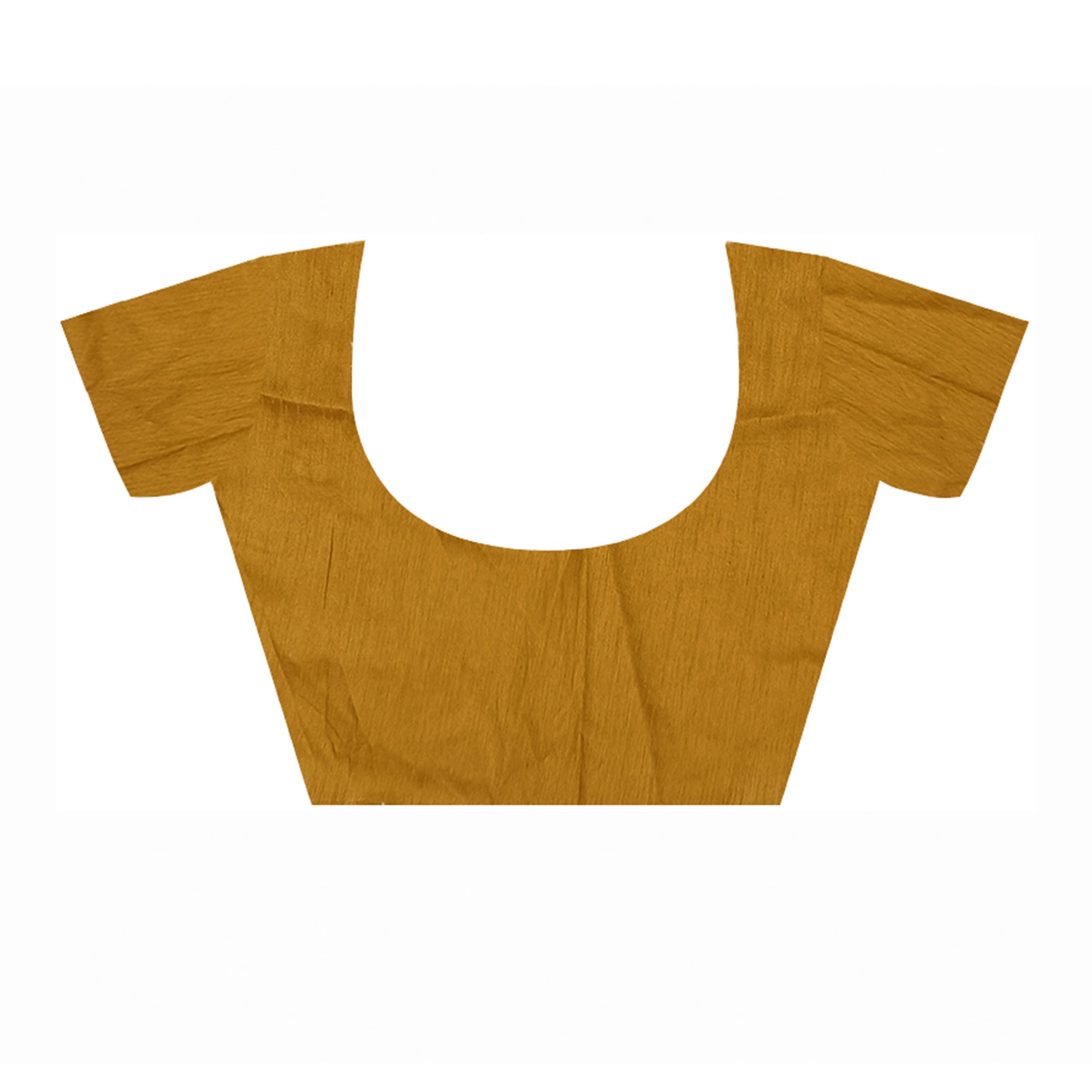 Mustard Sequins Embroidered Georgette Saree