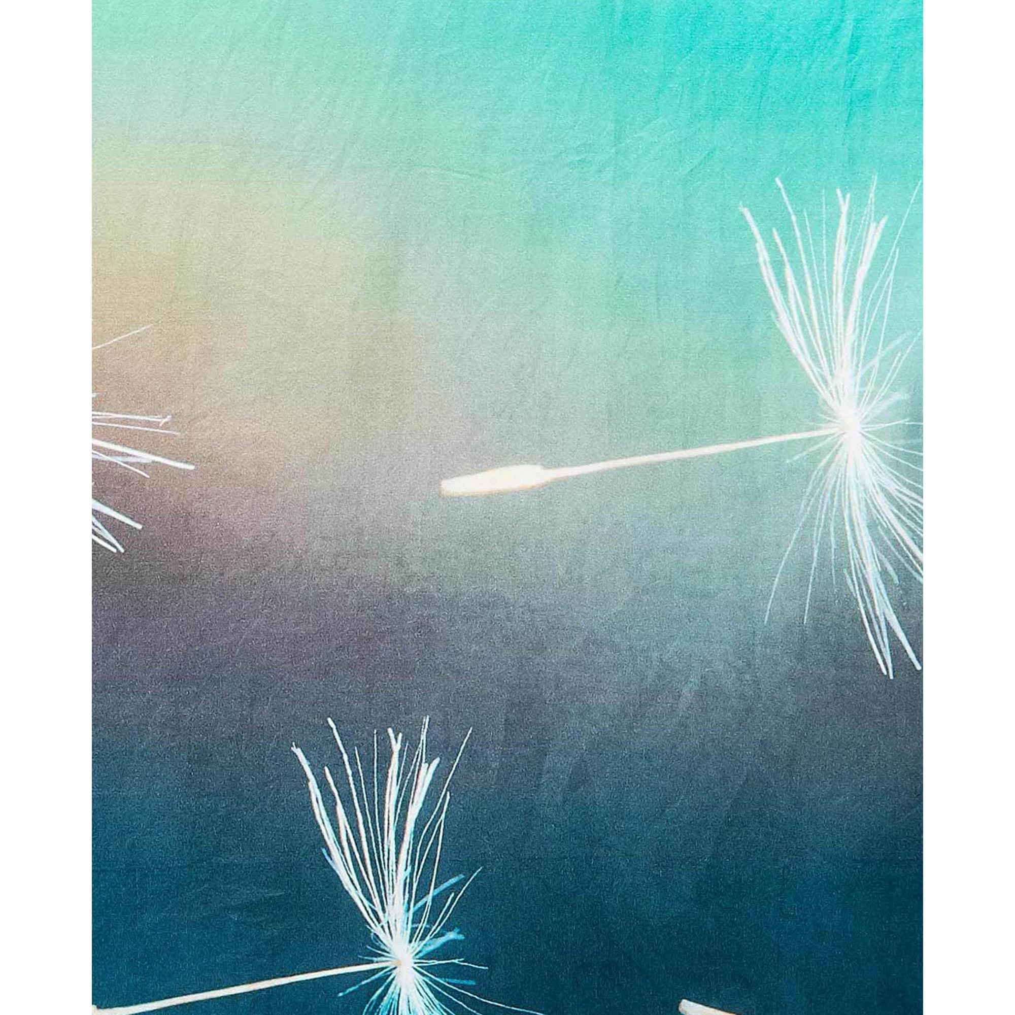 Turquoise Digital Printed Chinon Saree