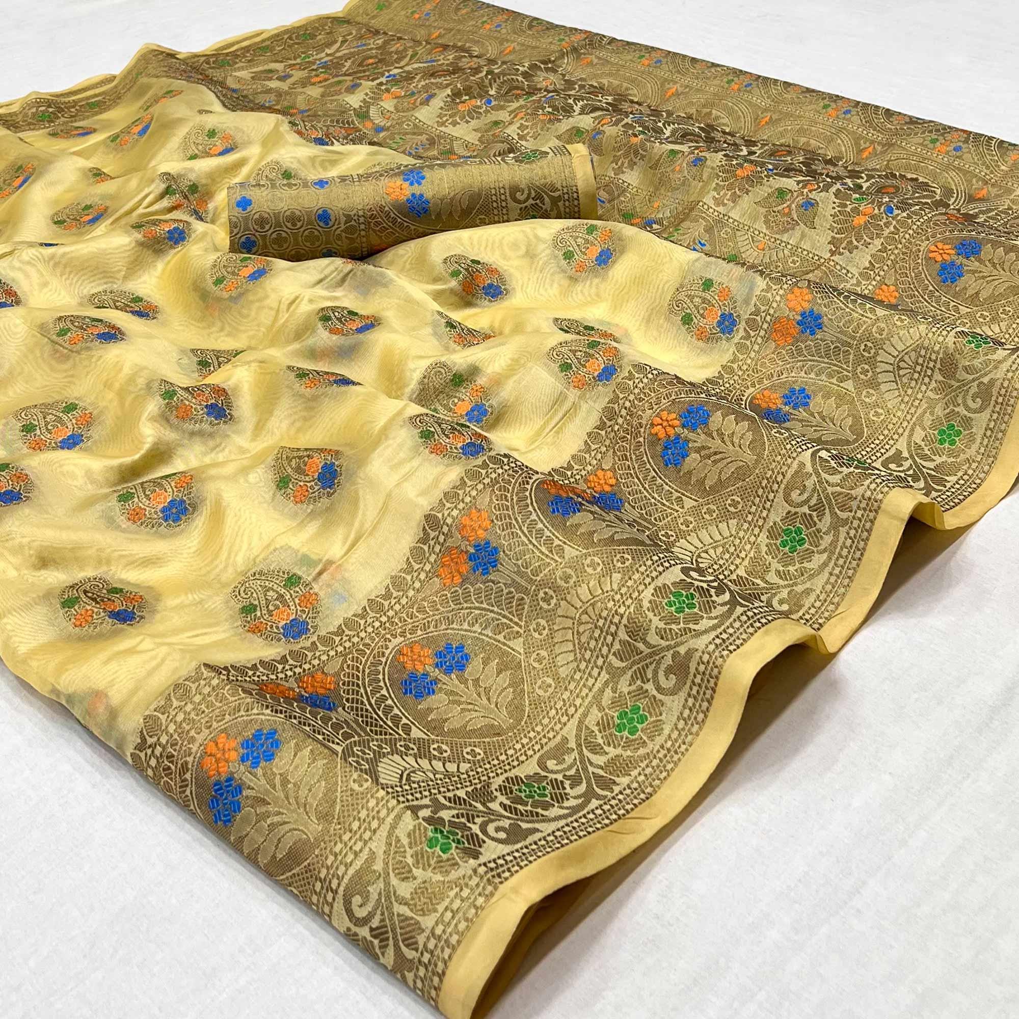 Chikoo Woven Organza Saree - Peachmode