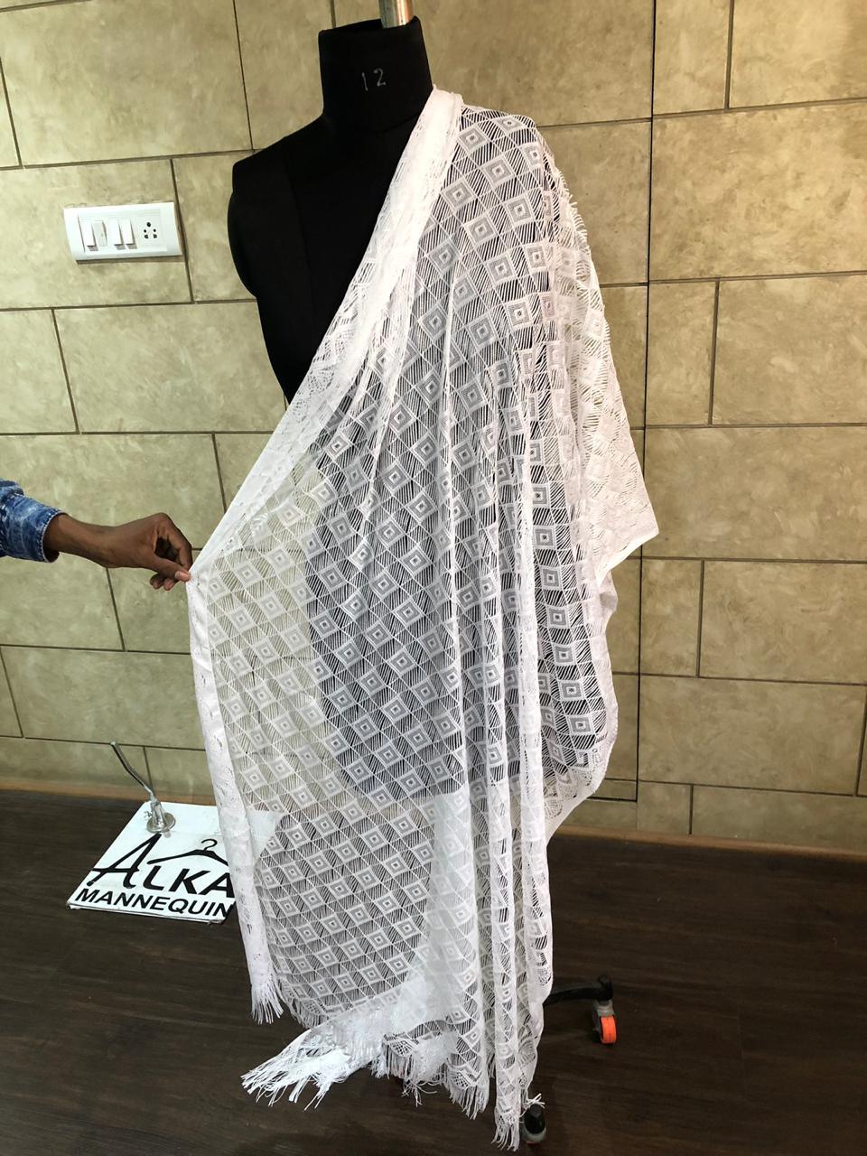 Elegant White Colored Net Dupatta - Peachmode