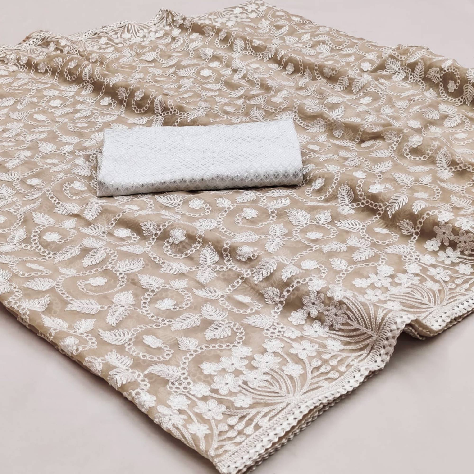 Light Brown Lucknowi Embroidered Organza Saree