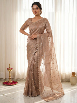 Graceful Chikoo Sequins With Detailed Beads & Stone Work Organza Satin Silk Saree - Image 1