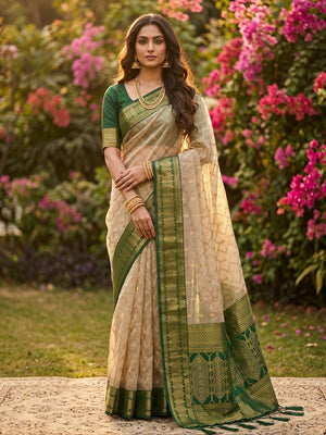 Graceful Chikoo Cotton Silk Saree With Intricate Geometric Zari Weaving & Contrast Green Border Pallu - Image 1