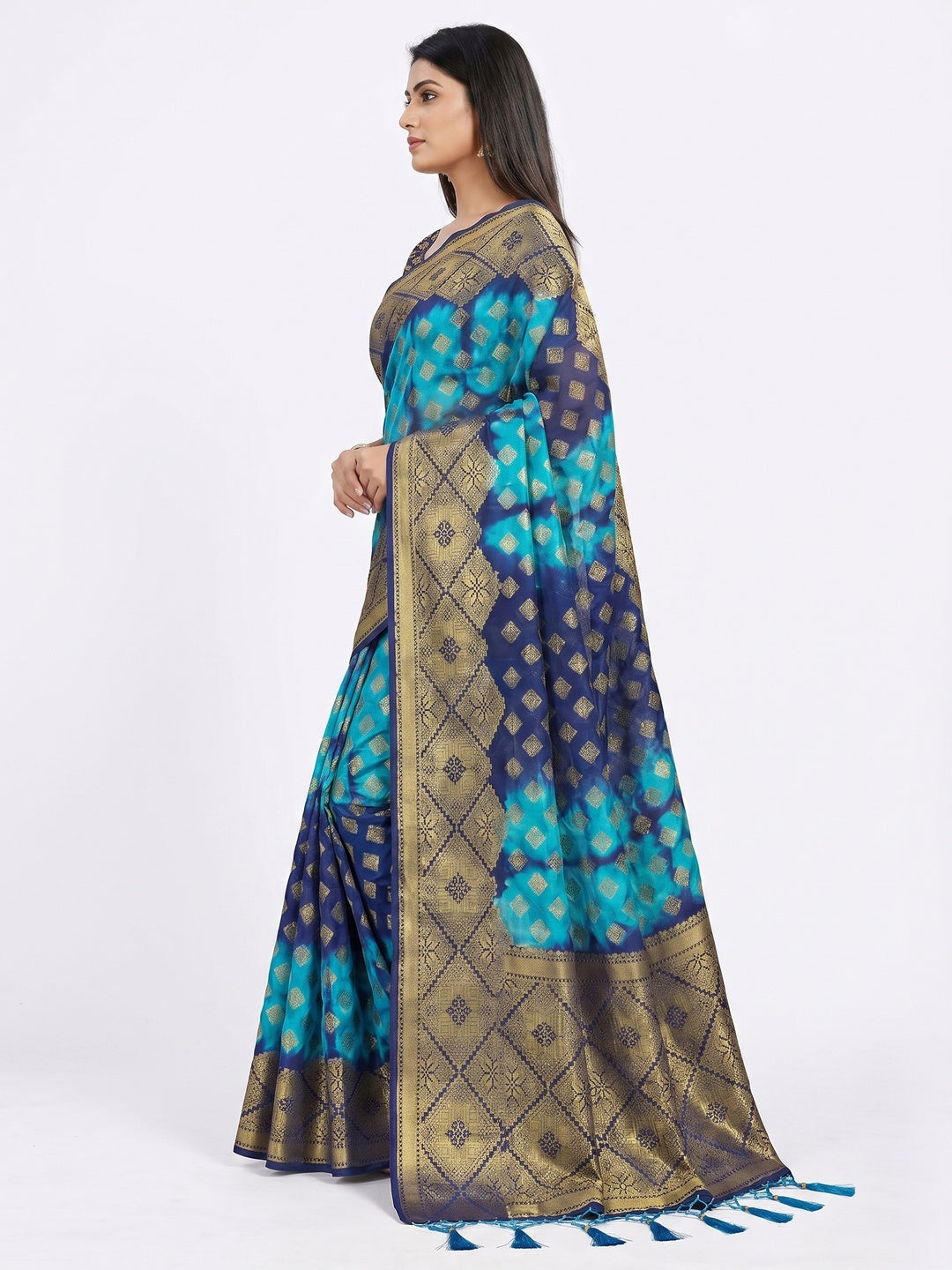 Blue Woven Jacquard Saree With Tassels - Image 2