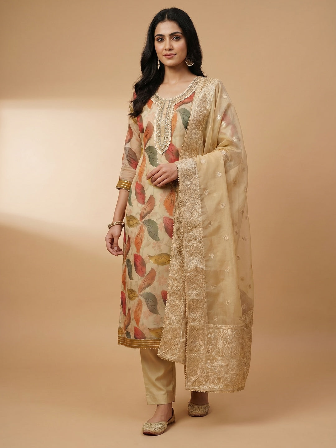 Chikoo Digital Printed With Handwork Organza Dress Material - Image 1