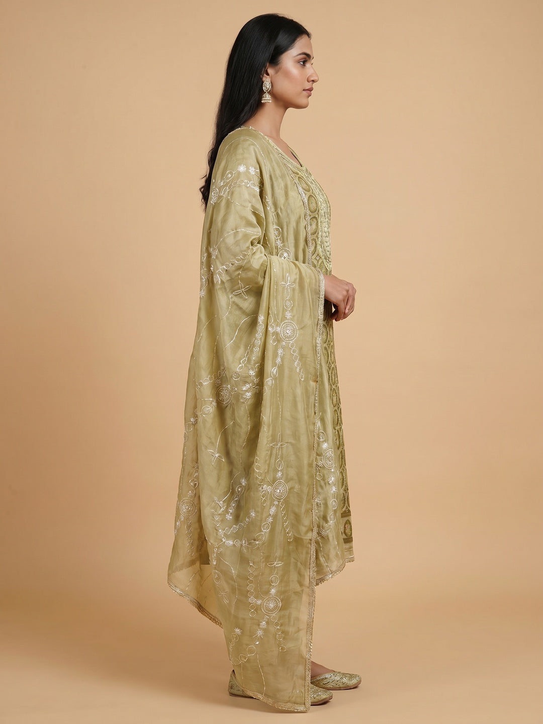 Olive Sequins Embroidery With Handwork Organza Dress Material - Image 3