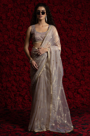 Light Grey Floral Zari Embroidered Net Organza Saree with Intricate Handwork Lace Border