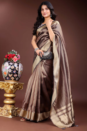 Brown Organza Saree with Zari Border Weaving Pattern