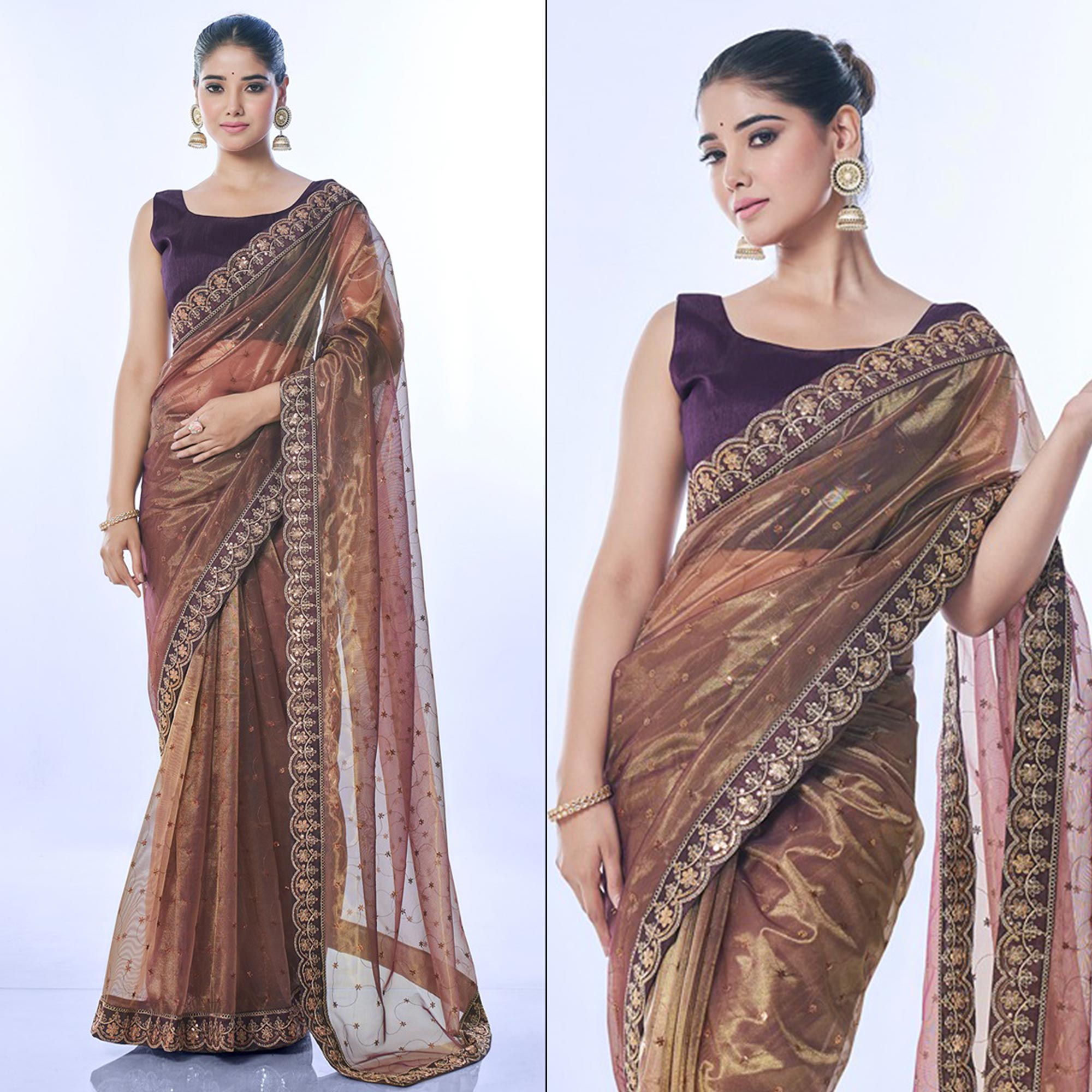 Brown Sequins Embroidered Net Saree