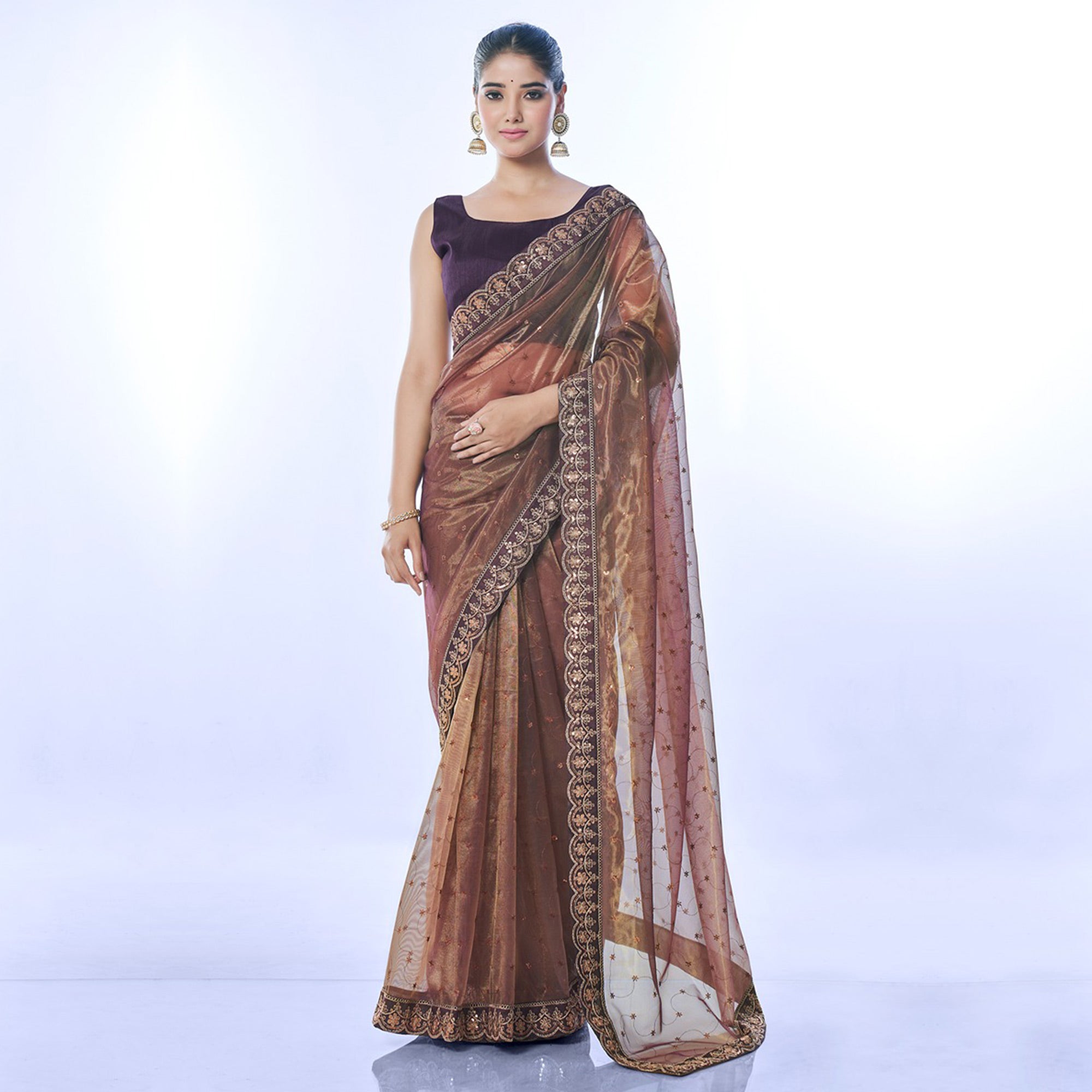 Brown Sequins Embroidered Net Saree