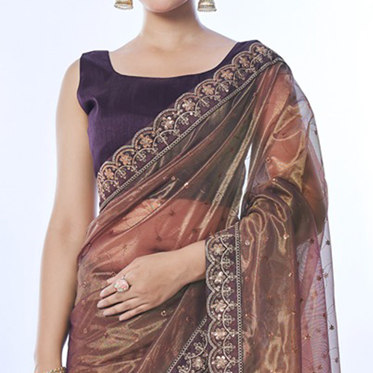 Brown Sequins Embroidered Net Saree