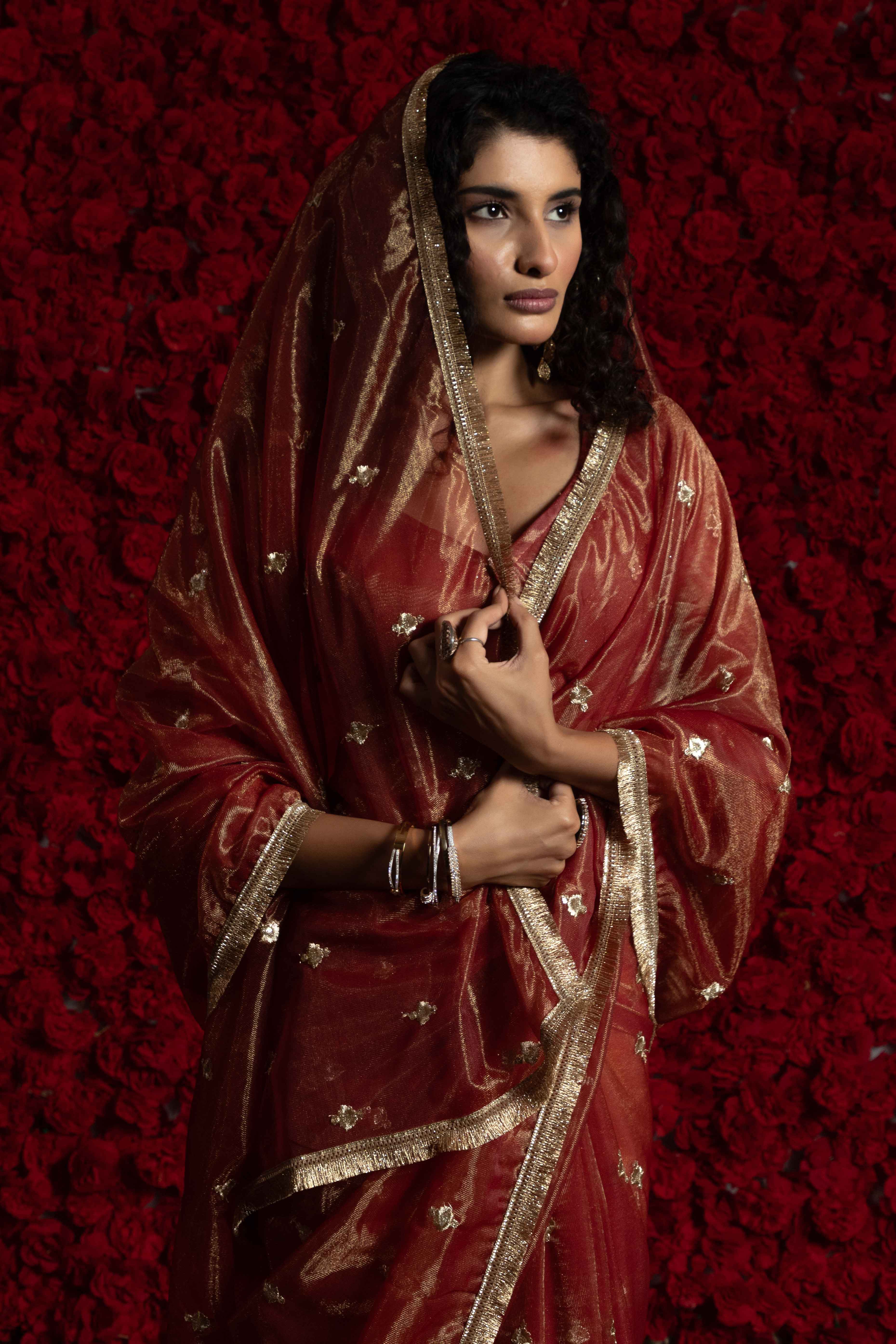 Brick Red Floral Zari Embroidered Net Organza Saree with Intricate Handwork Lace Border