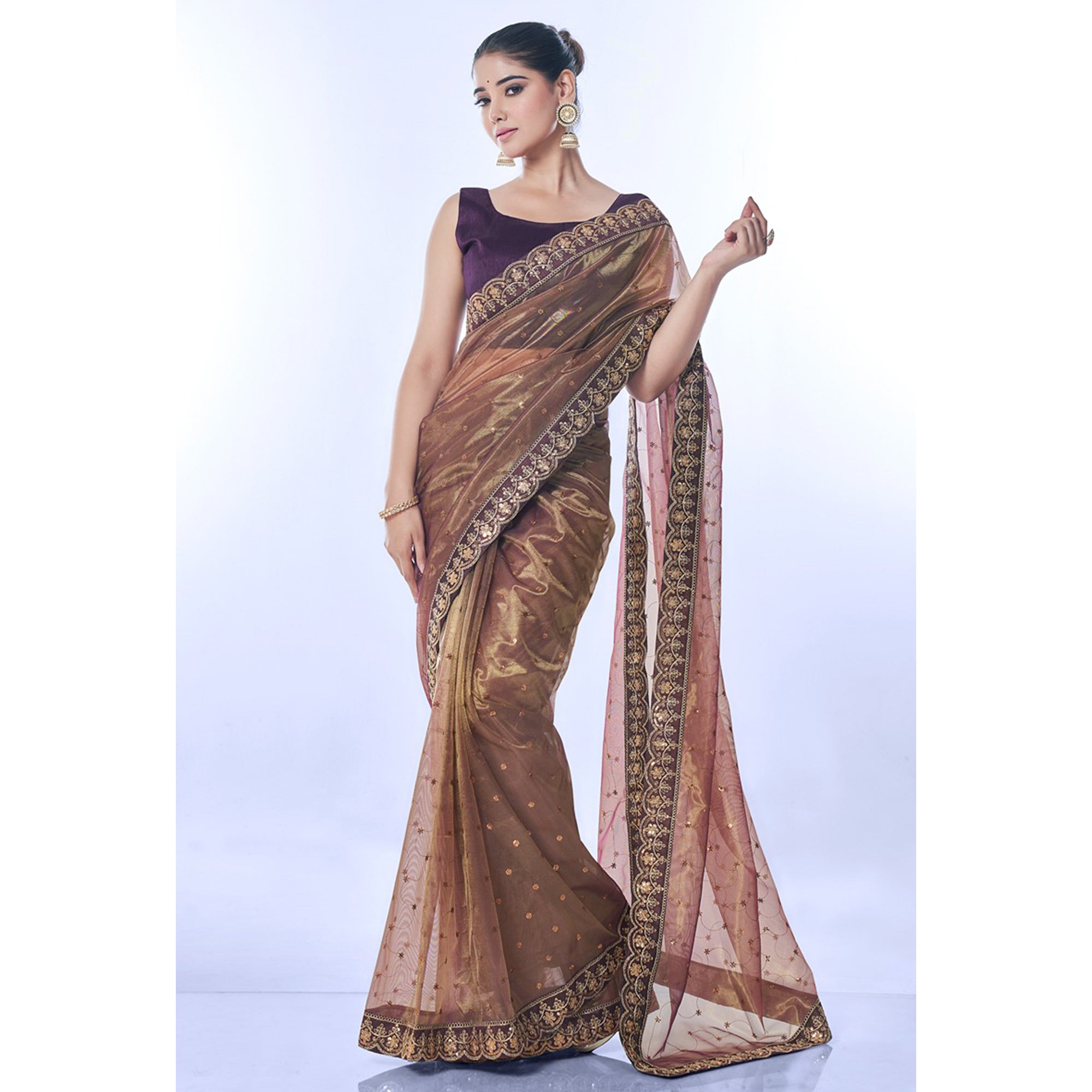 Brown Sequins Embroidered Net Saree