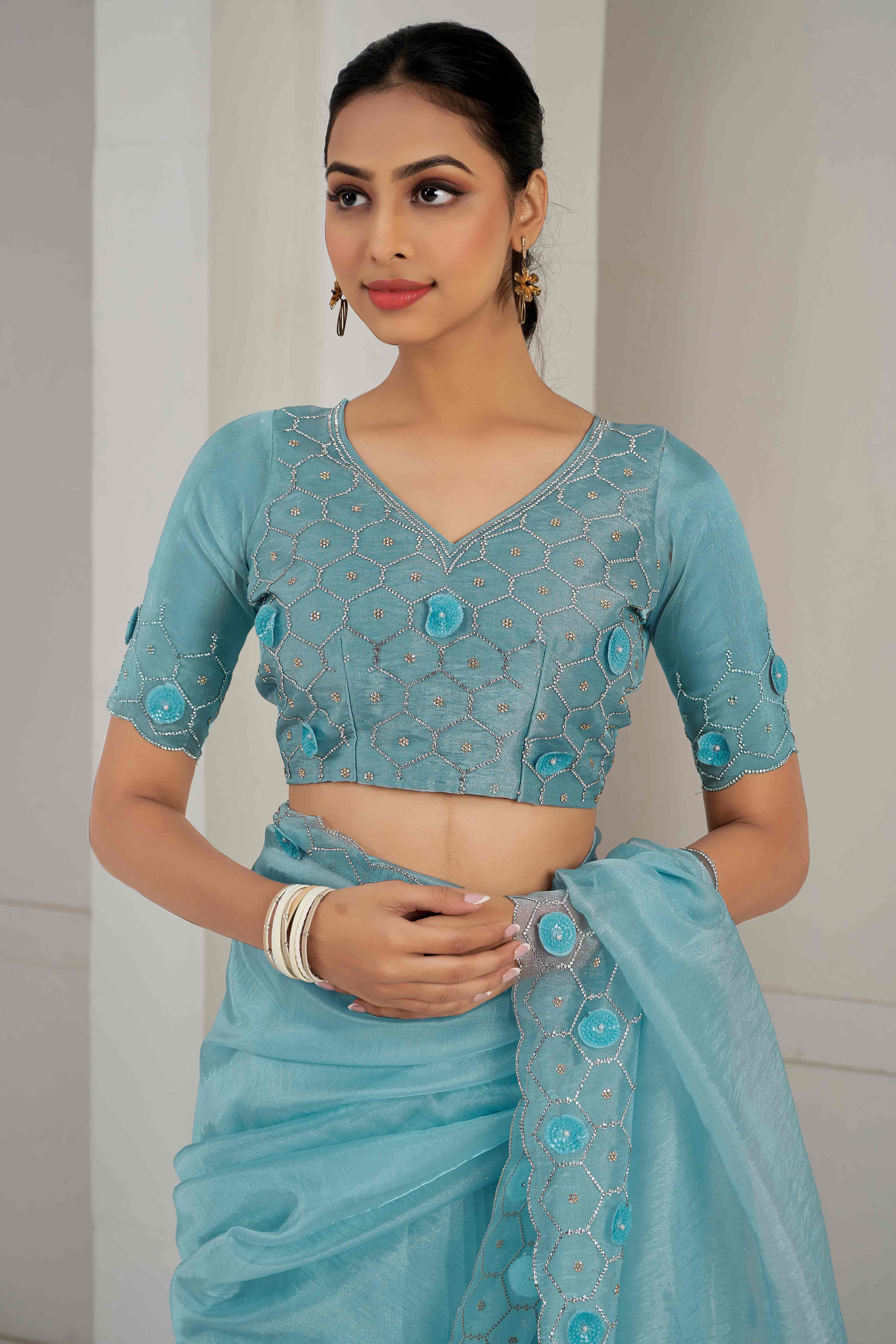 Sky Blue Stone Work Soft Organza Saree