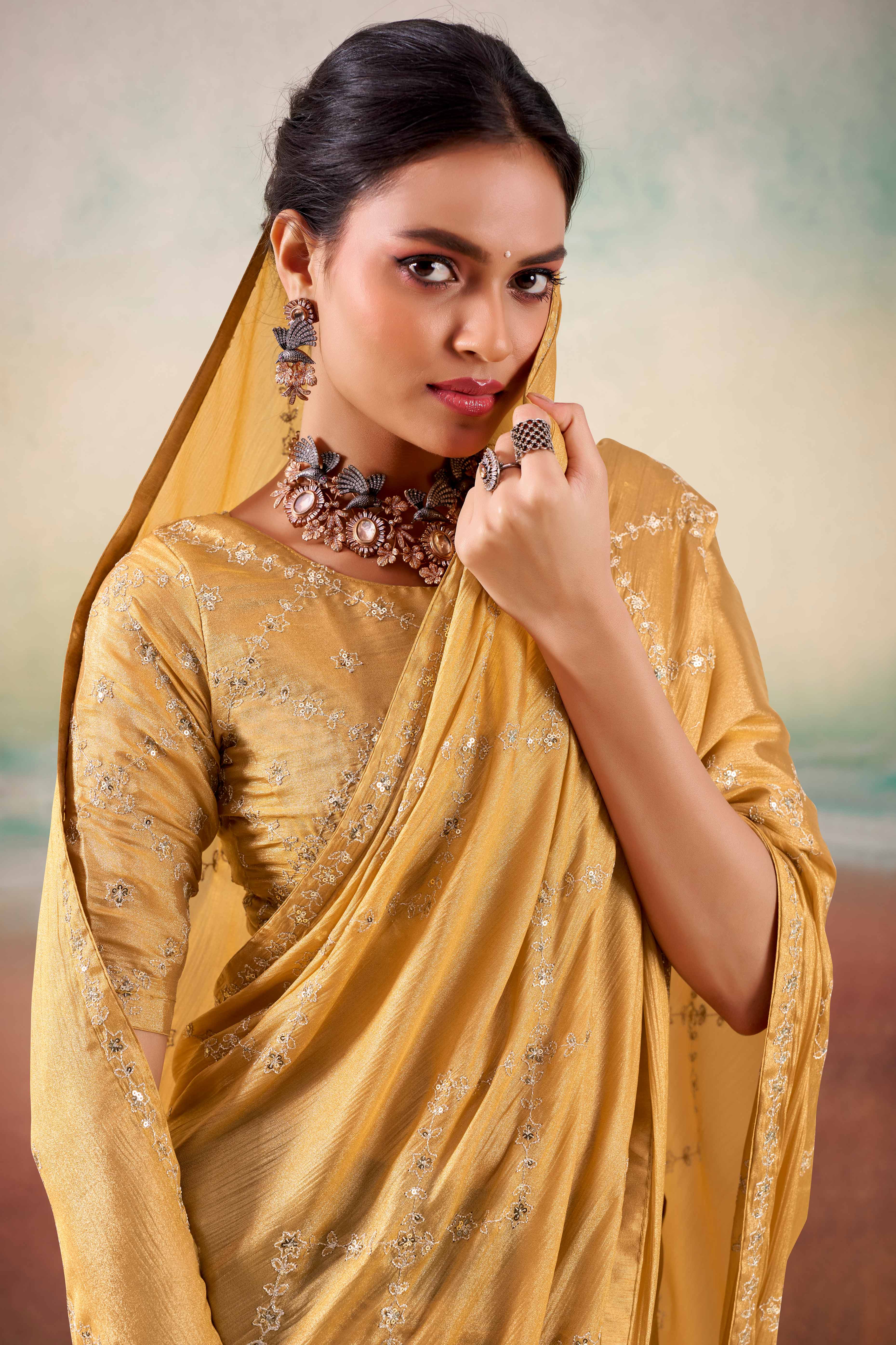 Chikoo Two Tone Chiffon Saree Adorned With Floral Cording Embroidery & Sequins Work