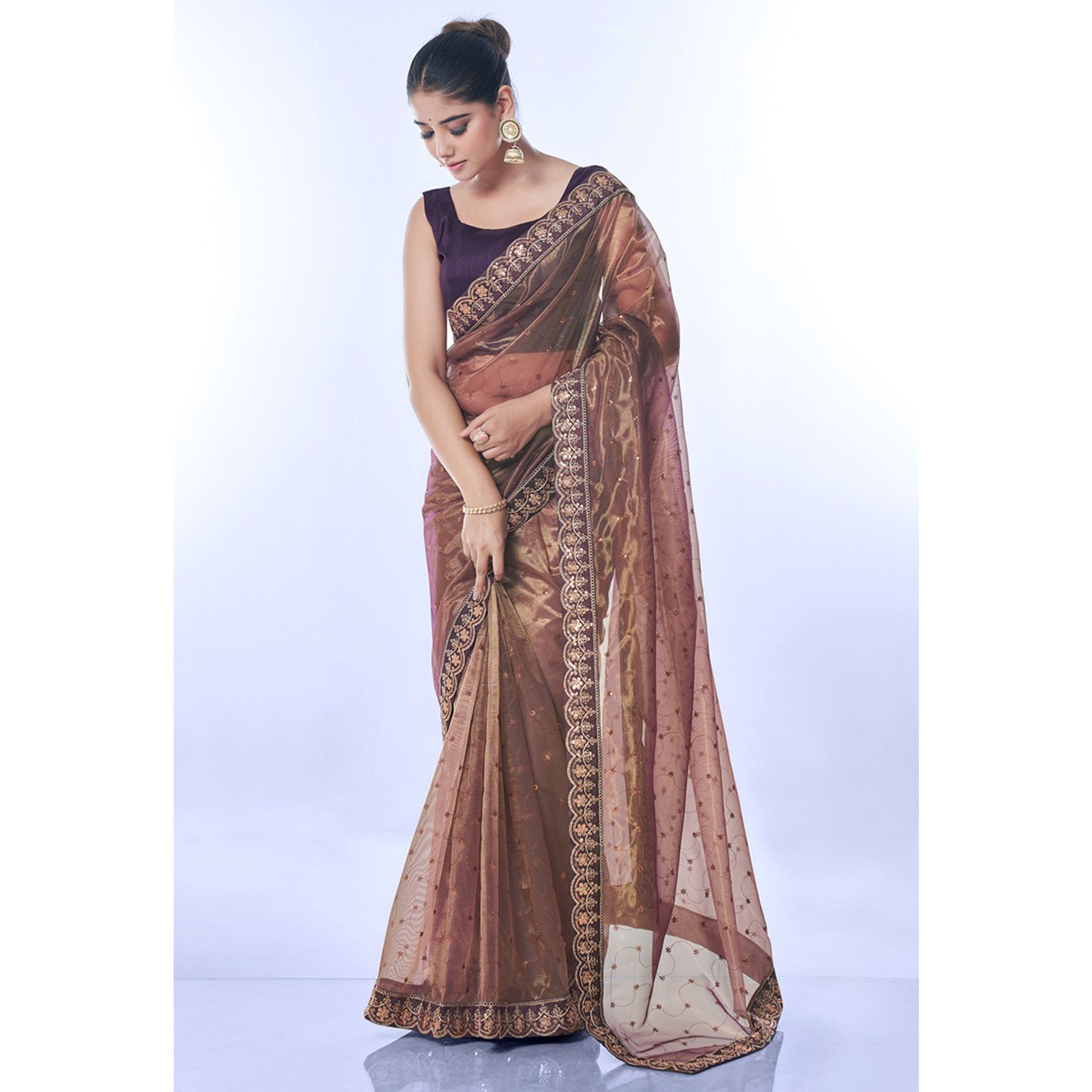 Brown Sequins Embroidered Net Saree