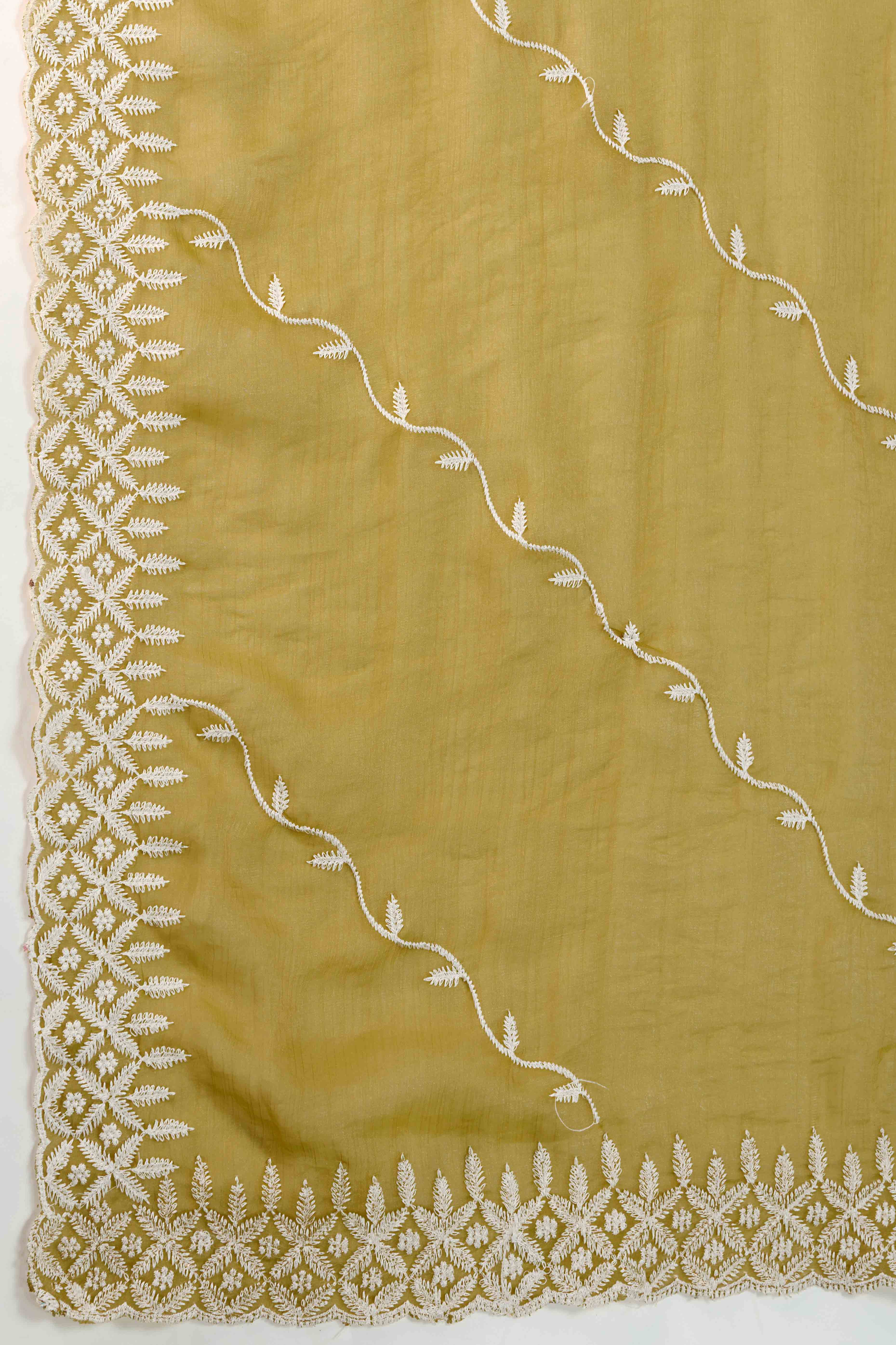 Olive Chiffon Saree with Rich Velvet Accents & Thread Detailing