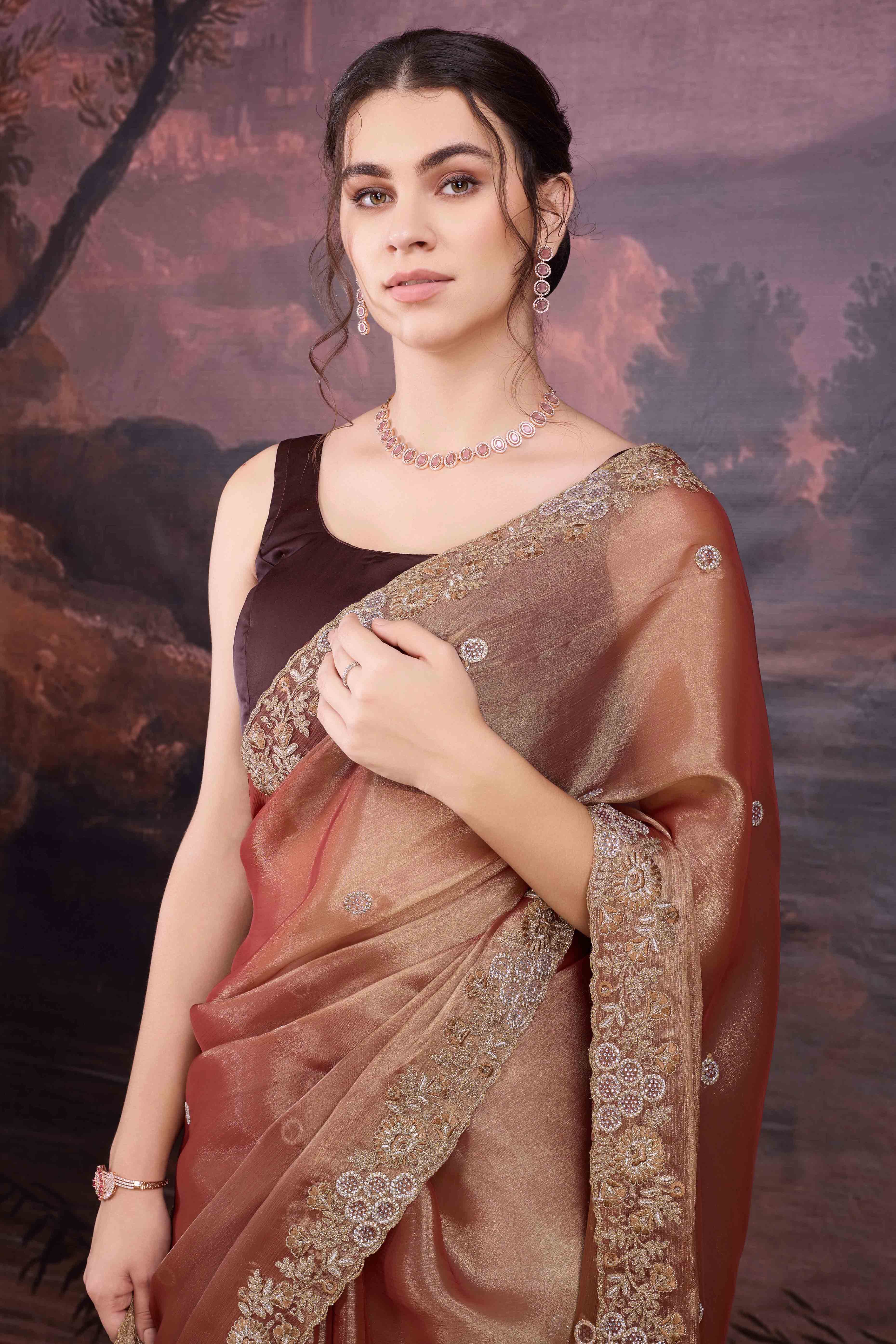 Elegant Rust Brown Organza Saree Embellished with Stone Embroidery