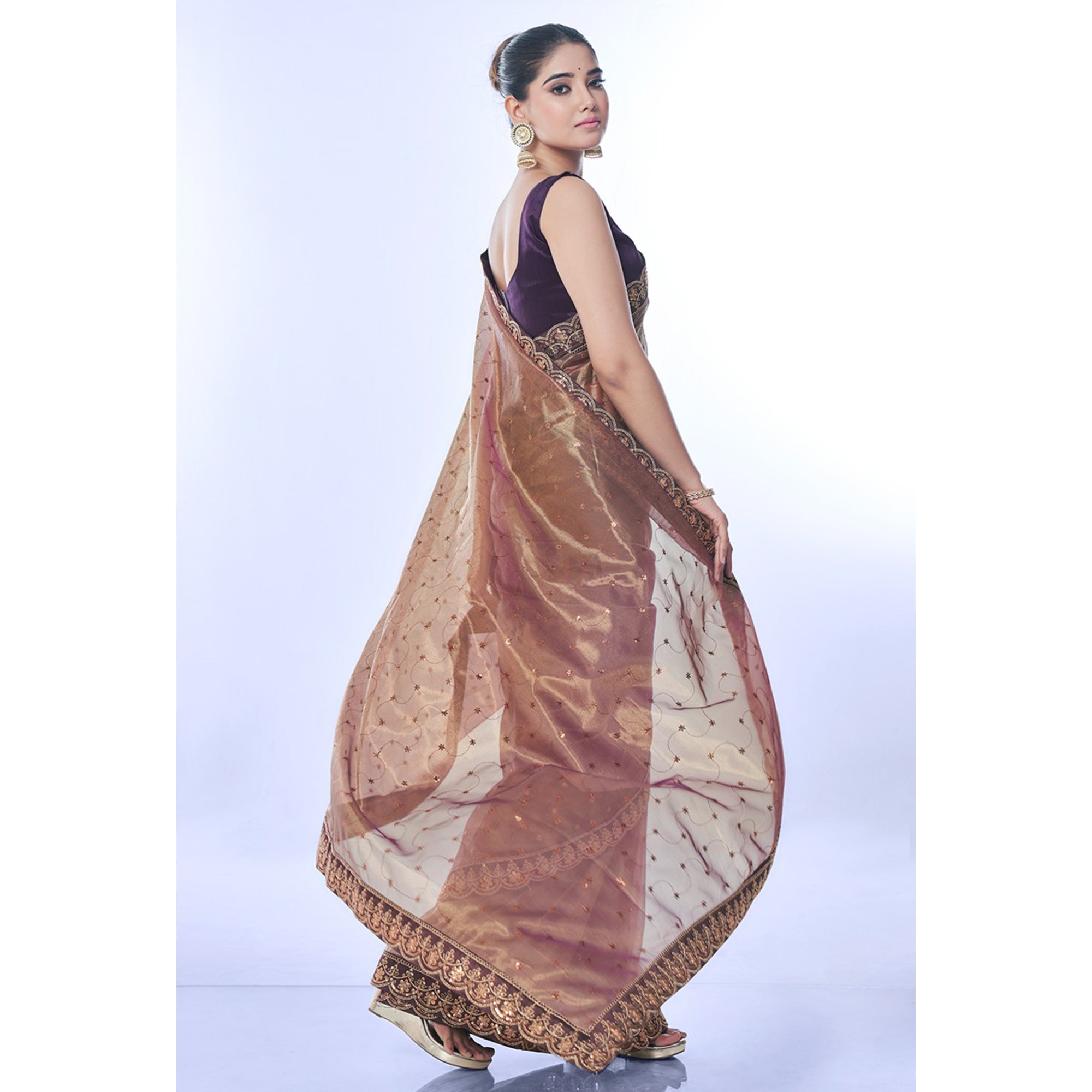 Brown Sequins Embroidered Net Saree