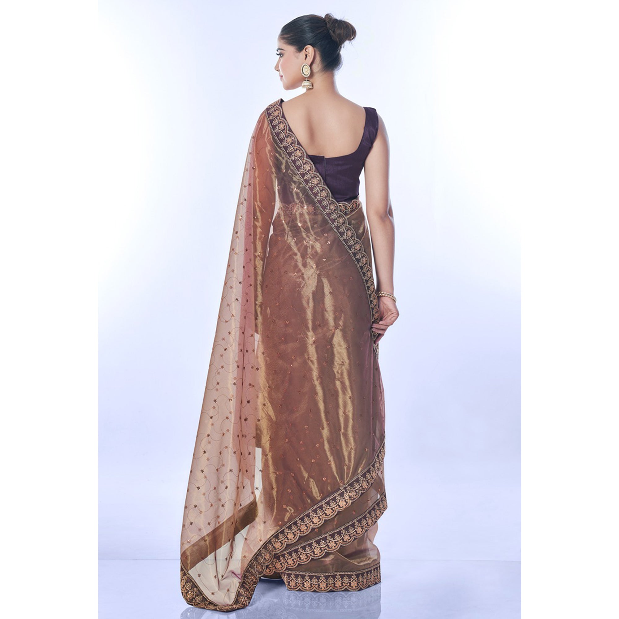 Brown Sequins Embroidered Net Saree