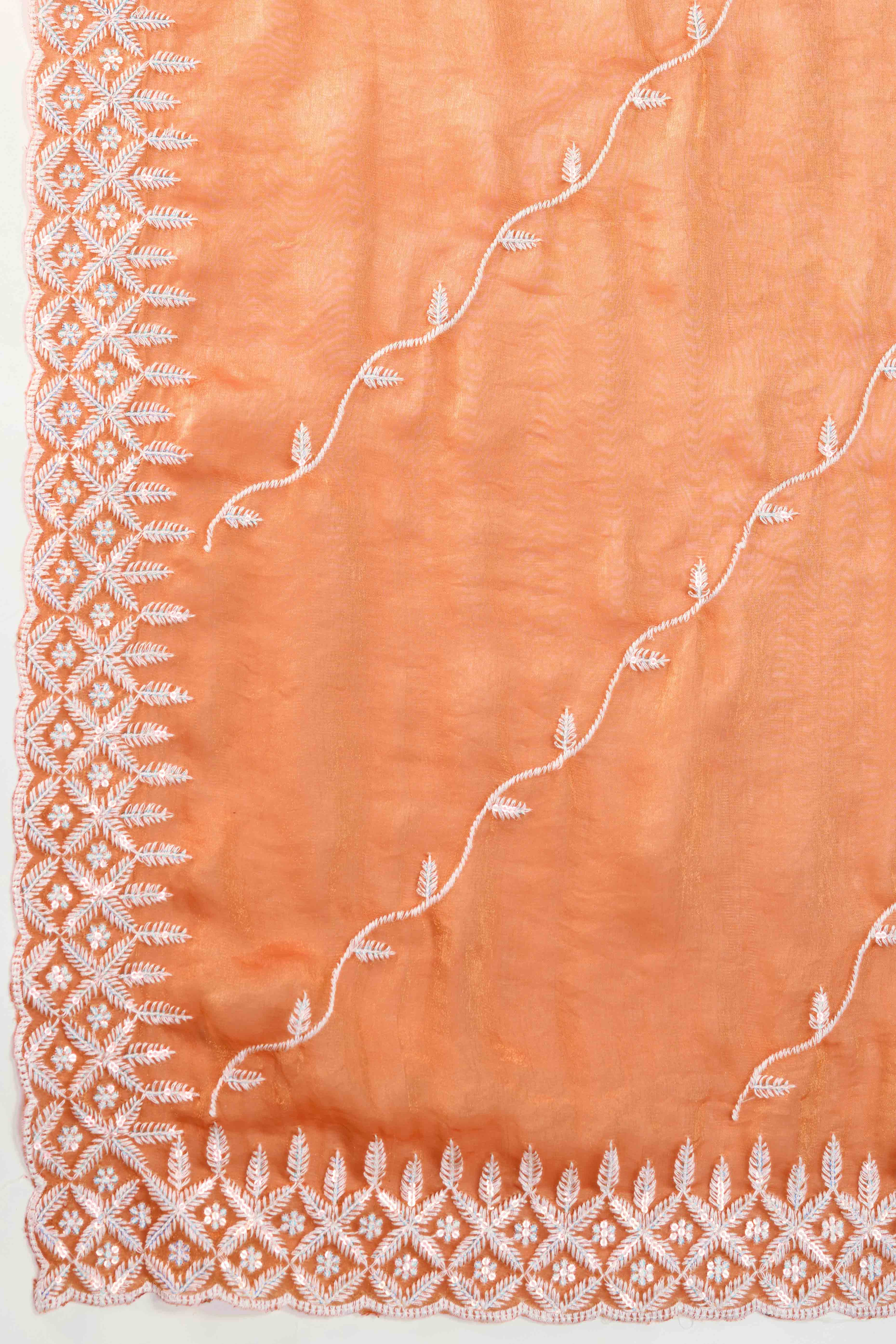 Light Orange Chiffon Saree with Rich Velvet Accents & Thread Detailing