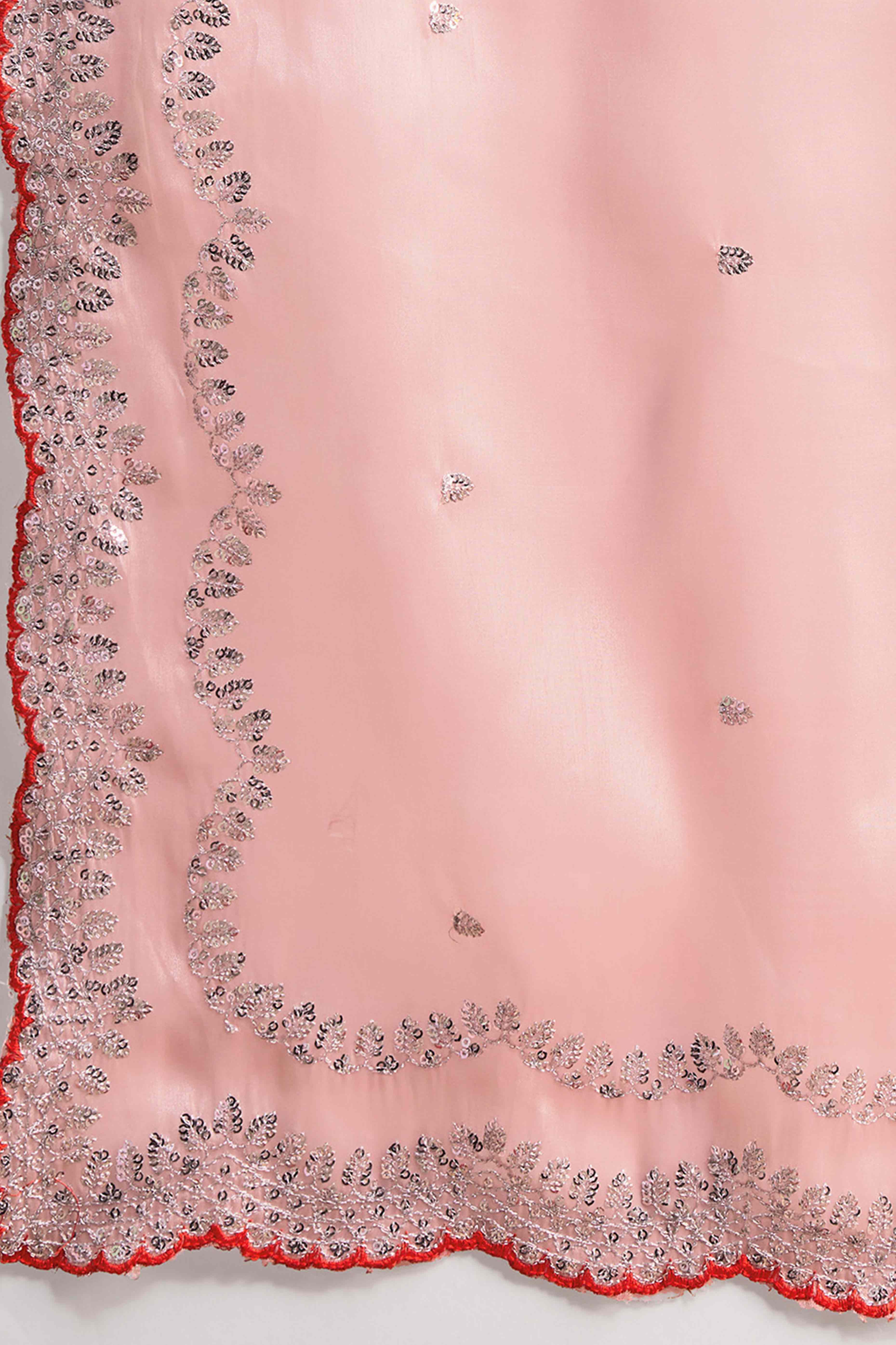 Light Peach Embroidered Saree in Organza with Sequins Accents