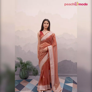 Brown Swarovski Work Embroidered Net Saree