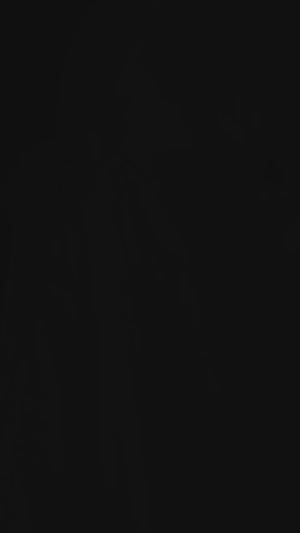 White Crush Foil Print With Delicate Zarkan Border Organza Ready To Wear Saree