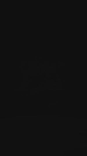 Morpich Blue Satin Silk Two Tone Saree with Intricate Zarkan Embellishments