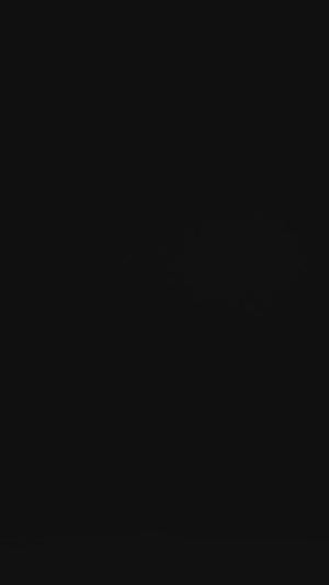 Black Satin Saree Embellished with Stones for a Party Look