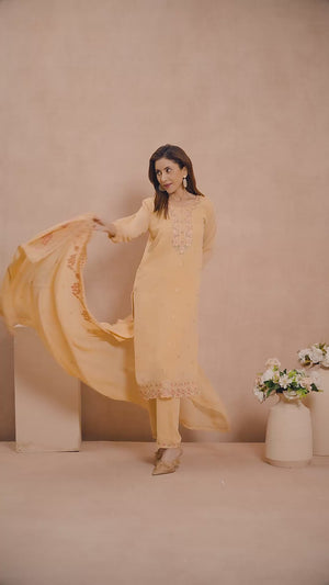 Chikoo Embroidered Straight Salwar Suit in Heavy Viscose Georgette