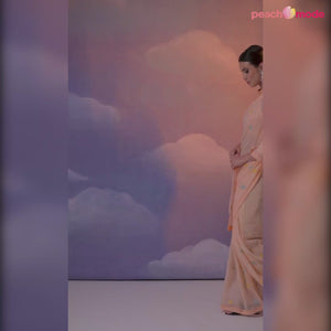 Light Peach Sequins Embroidered Georgette Saree