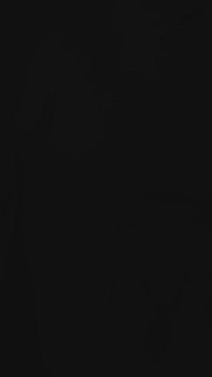 Golden Bronze  Solid With Intricate Zarkan Border Organza Ready To Wear Saree