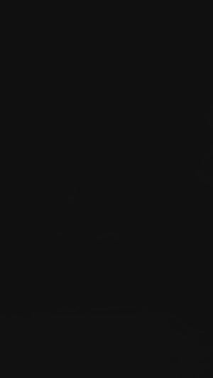 Purple Satin Silk Two Tone Saree with Intricate Zarkan Embellishments