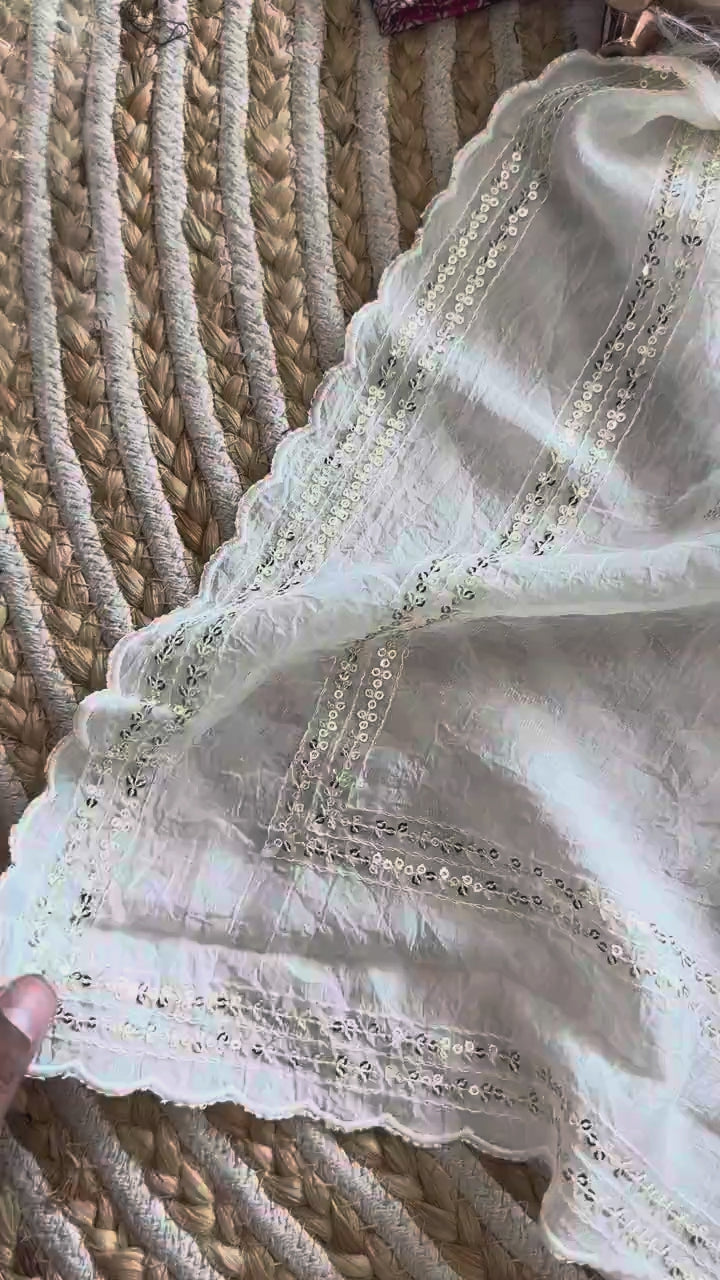 Peachmode Pink Tana Bana Saree with Multi Embroidery Work - Video 2